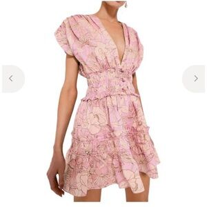 Alexis Pink Floral Mini Ruth Dress